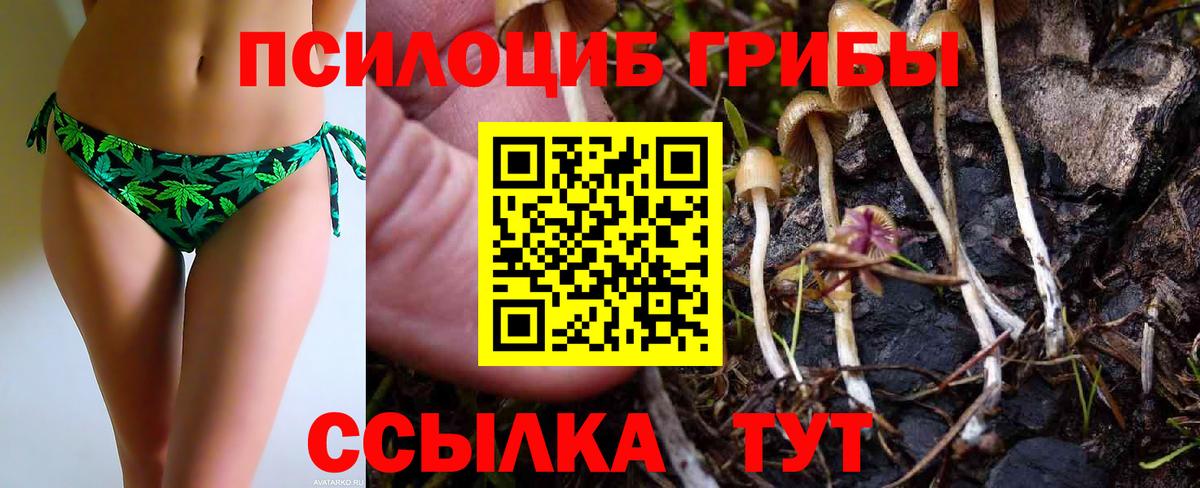 Еманжелинск  Псилоцибиновые грибы мухоморы  Вход с VPN 